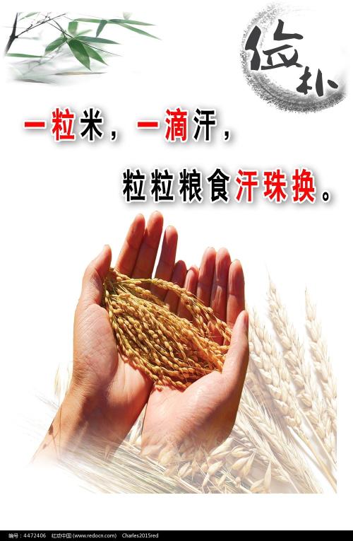 南爱达荷学院degree certificate